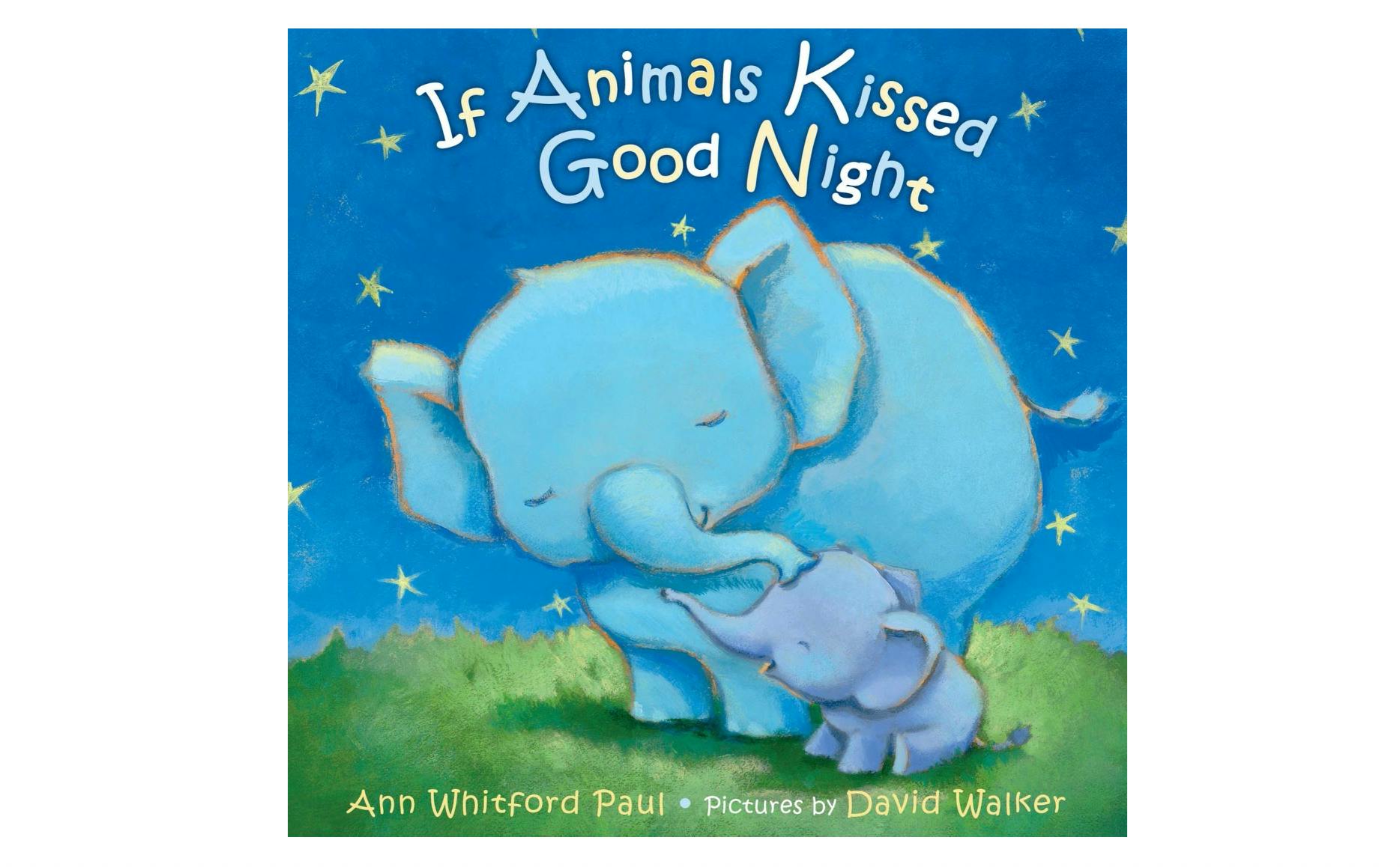 Bedtime Children's Book