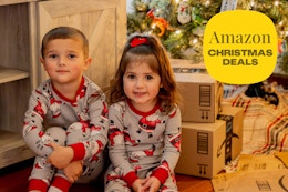 amazon-christmas-tree-and-decor-deals-9