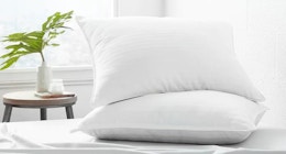 Linens & Hutch Gel Fiber Pillow 2-Pack, as Low as $36 Shipped (Reg. $130+)  card image