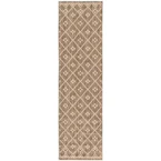 Indoor/Outdoor Runner Rug