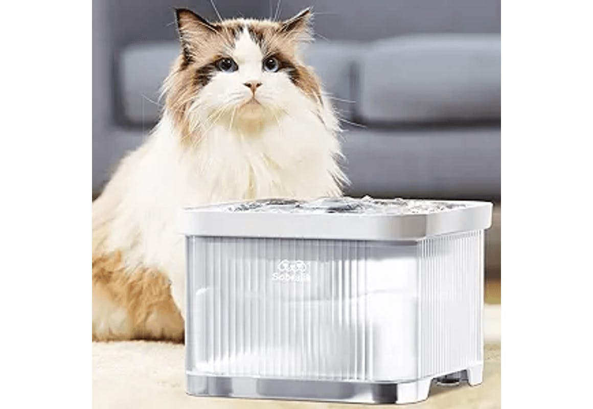 Cat Water Fountain