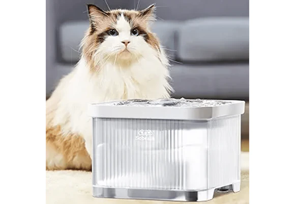 Cat Water Fountain