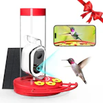 Hummingbird Feeder with Camera