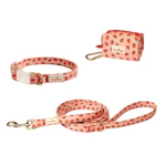 Dog Walking Set
