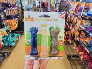 nylabone 3 pack