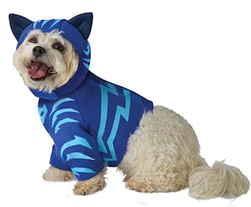 PJ Masks Catboy Pet Costume