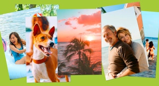 free prints 1 1690999952 1690999952