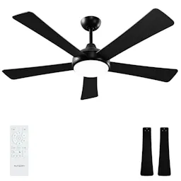 Ceiling Fan with Light