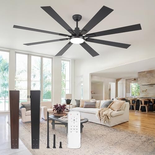 Large Ceiling Fan
