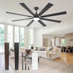 Large Ceiling Fan