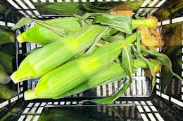 Sweet Corn, Just $0.25 at Kroger (Saturday and Sunday Only) card image