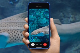 amazon google pixel 10