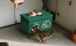 cats on a heated outdoor cat house in a garage 