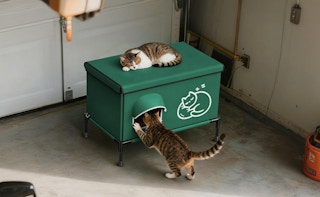 cats on a heated outdoor cat house in a garage