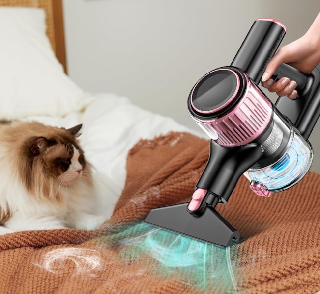 Amazon Cordless Vacuum Cleaner 2025 2