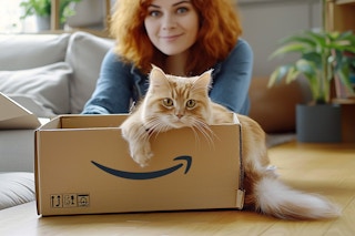 amazon-pet-day-prime-box-kclmj-cat