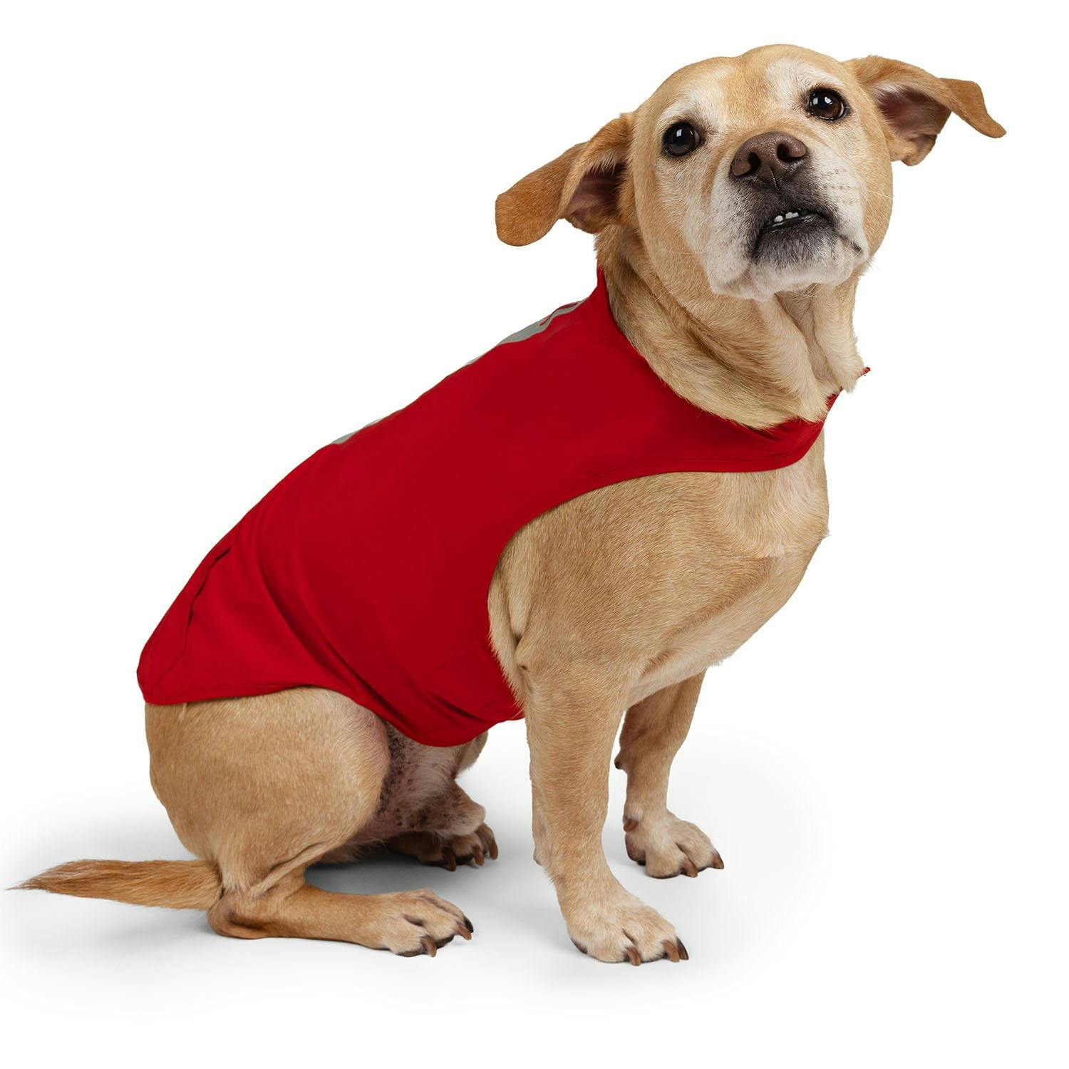 Free Country Doggy Rain Jacket