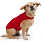 Free Country Doggy Rain Jacket