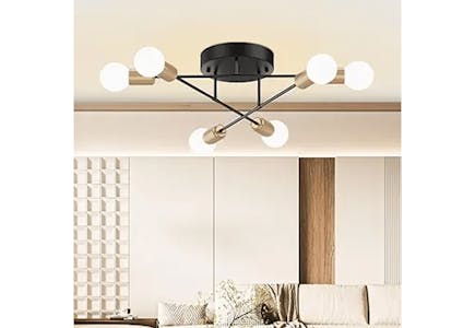 Chandelier Light Fixture