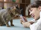 a person giving their cat a Churu cat treat