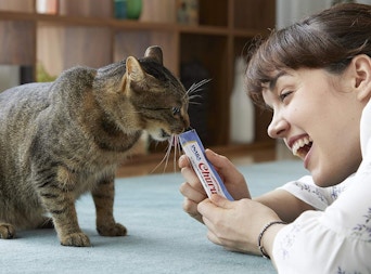 a person giving their cat a Churu cat treat