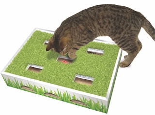 amazon petstages cat hunting box 1 1655171060 1655171060 e1655171095742