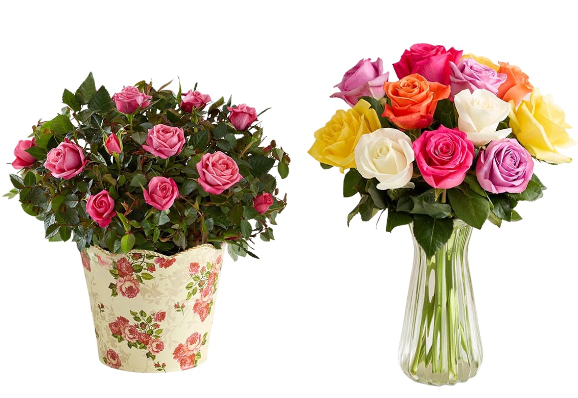 Mother's Day Flowers