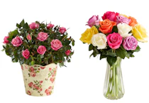 Mother's Day Flowers
