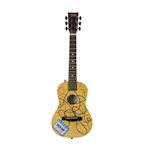 Acoustic Guitar
