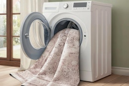 Marsail Washable Area Rug 8x10 handing out of a dryer.