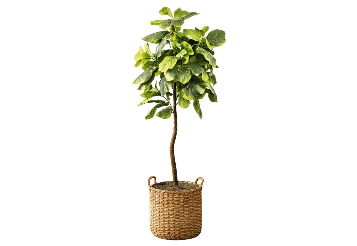 Artificial Fiddle Leaf Fig Tree