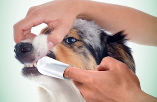 Vet's Best Dental Care Finger Wipes