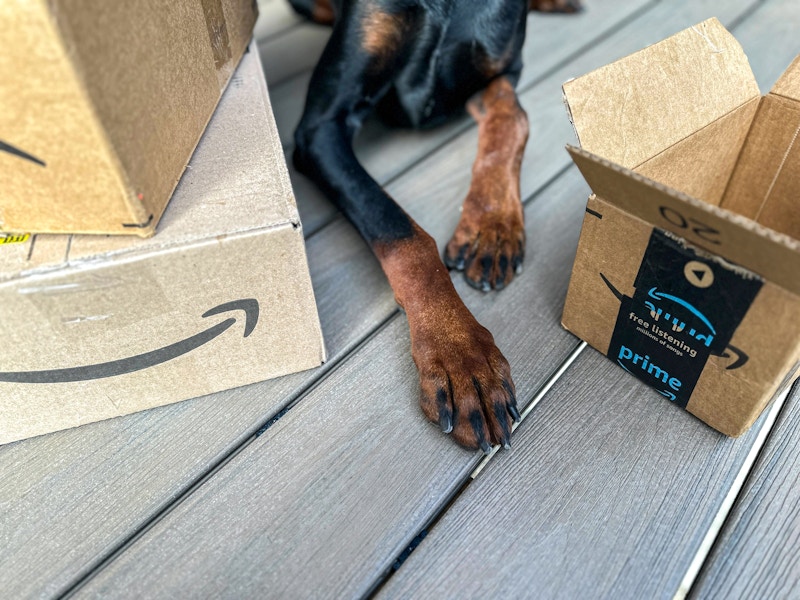 dog-amazon-box-kcl-11