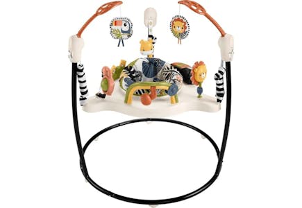 Fisher-Price Baby Bouncer