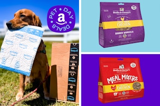 bags of pet food in a collage with a dog holding an Amazon package