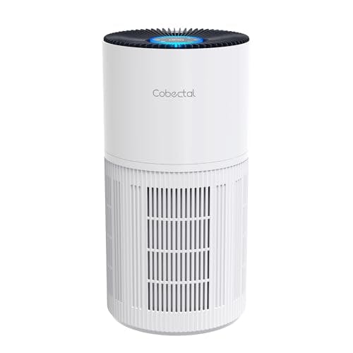 Large Room Air Purifier