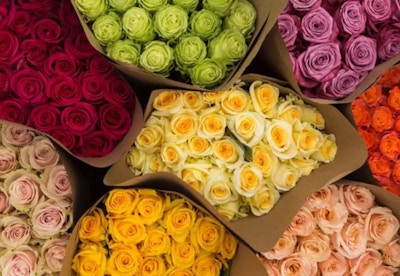 Rose Farmers Colored Roses Bouquet