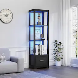 Display Shelf