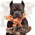 DinoBone Tough Dog Chew Toys 2-Pack