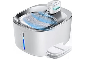 Pet Water Fountain