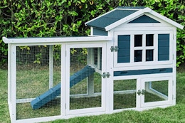 2-Story Chicken Coop and Bunny Cage, $125.99 With Amazon Promo Code card image