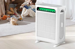 air purifier in living room