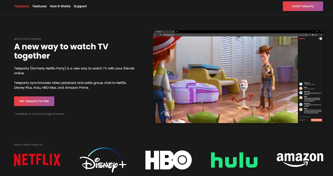 screenshot of the teleplay chrome extension plugin for netflix