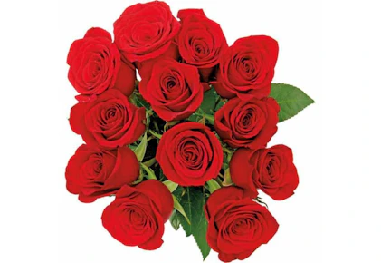 Valentine's Day Rose Bouquet