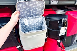 Bucket Cooler Backpack, Just $24.99 at Aldi ($150 on Amazon) card image