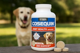 Amazon’s Cosequin Deal Beats Costco — 250 Tabs for Only $38.99 card image