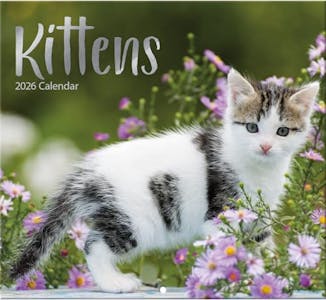 Kittens 2026 Wall Calendar