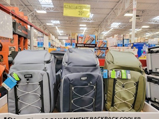 igloo backpack coolers
