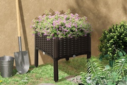 Raised Garden Bed, Now $35 on Amazon card image