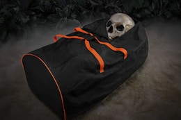 The Home Depot Home Accents Holiday decor storage bag